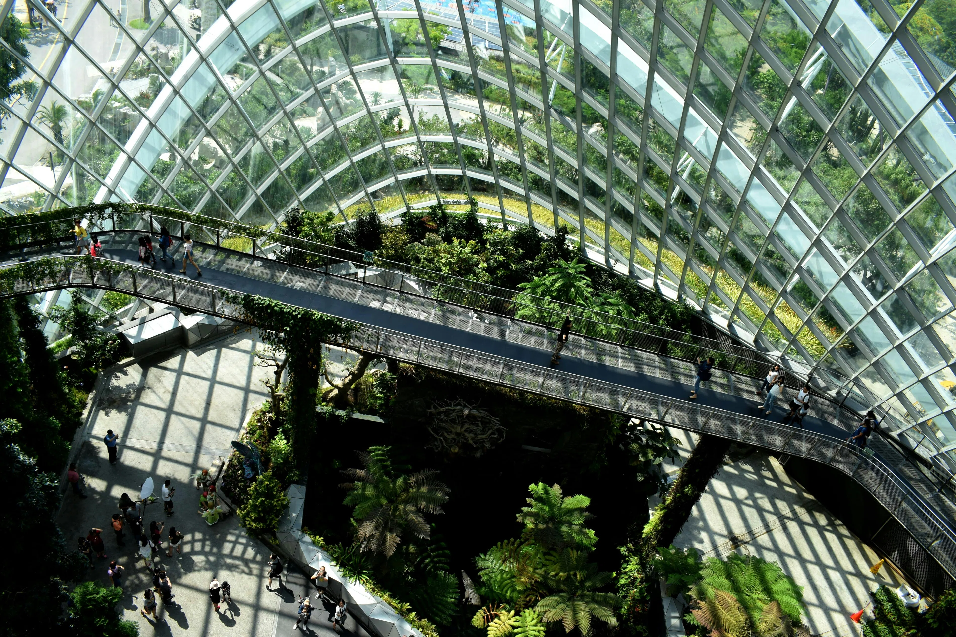 Reduce Your CO₂ Footprint with Phoenix Technologies